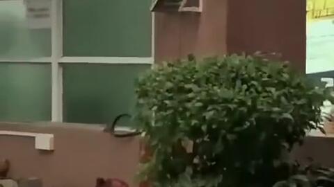 威远吃瓜最新事件爆料新闻,最新爆料揭露惊人内幕 第2张 威远吃瓜最新事件爆料新闻,最新爆料揭露惊人内幕 第2张